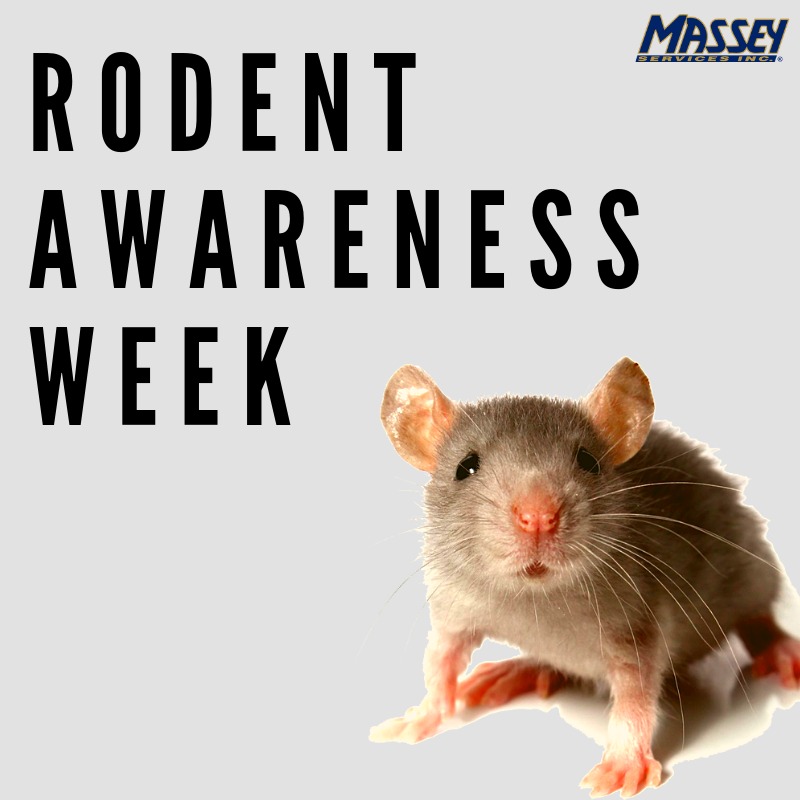 Rodent Awareness Week Massey Services, Inc.
