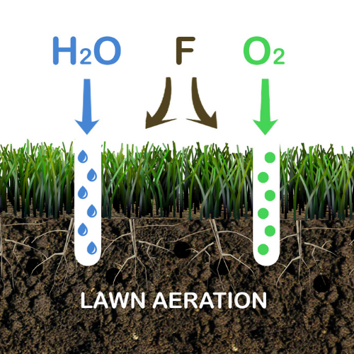 Flow chart of how lawn aeration helps soil. Holes that are punctured in the ground allow water and oxygen to reach grass roots and soil.